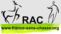 logo_RAC-mail.jpg