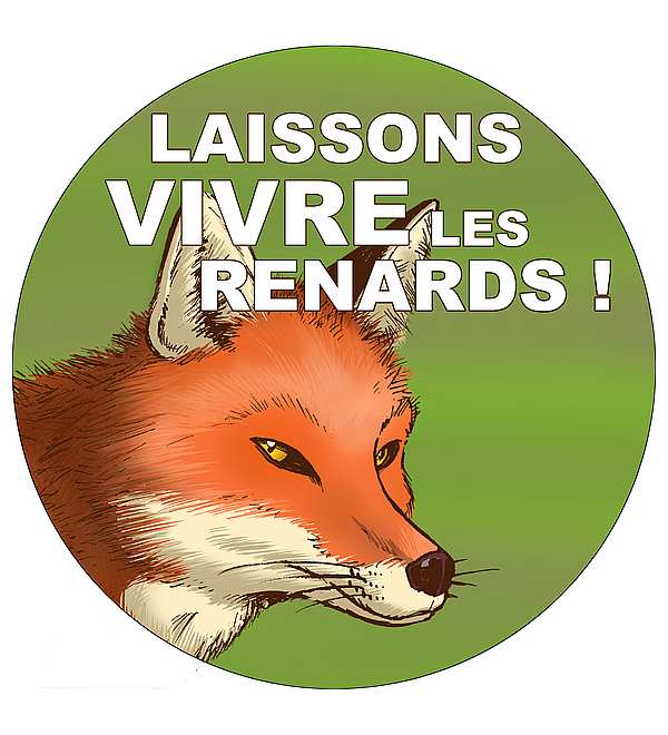 2026Renard_-_Pins_FR.jpg