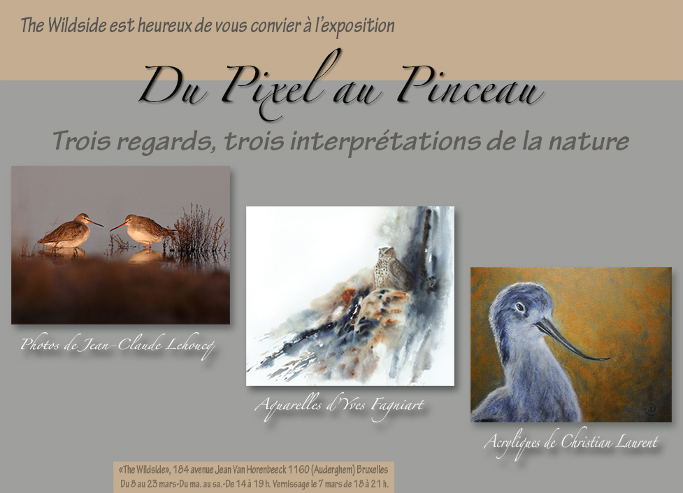 Du_Pixel_au_Pinceau-1.jpg